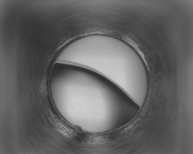 X0000084550249200702230942