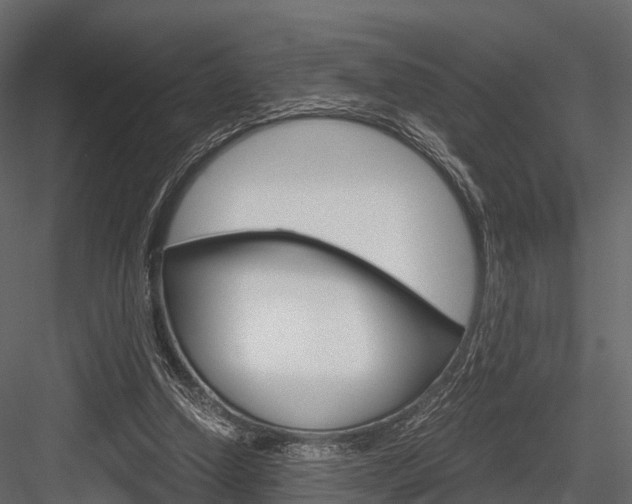 X0000084550250200702230942