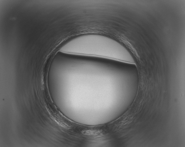 X0000084550251200702230942