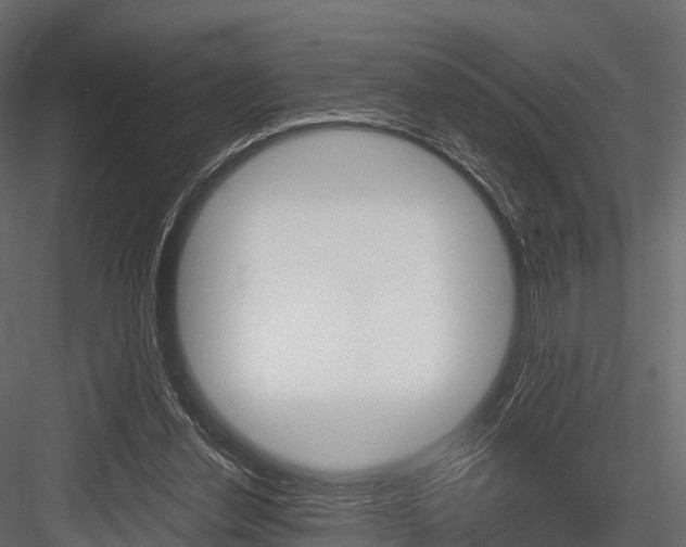 X0000084550252200702230942