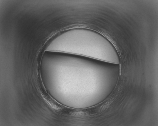 X0000084550253200702230942
