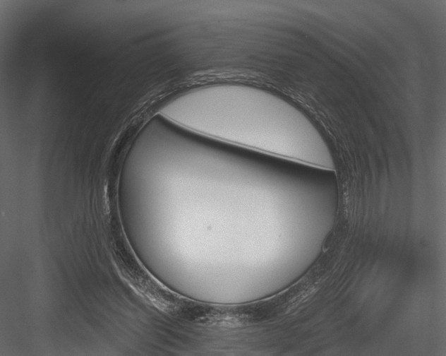 X0000084550254200702230942
