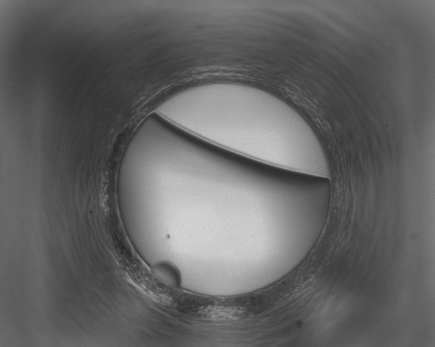 X0000084550255200702230943