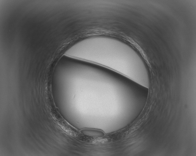 X0000084550257200702230943