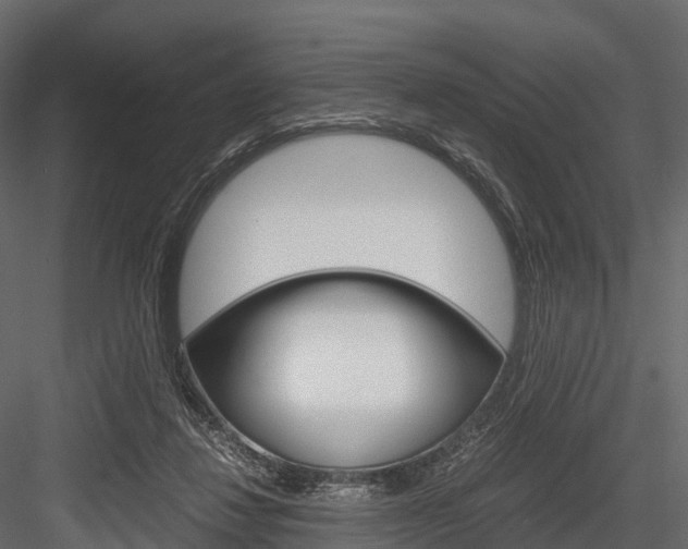 X0000084550260200702230943
