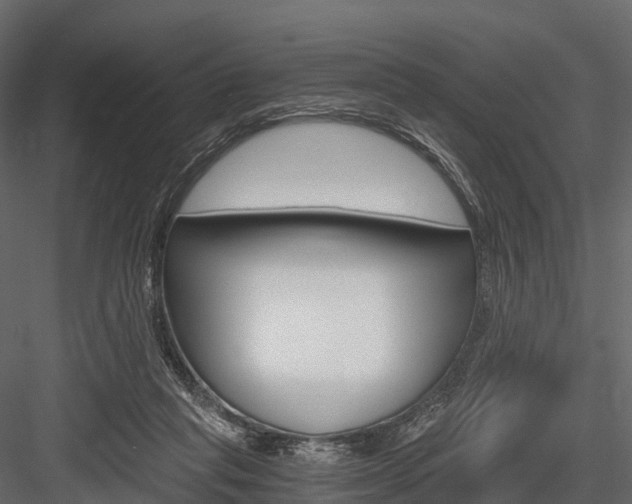 X0000084550261200702230943