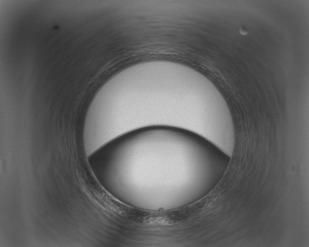 X0000084550262200702230943