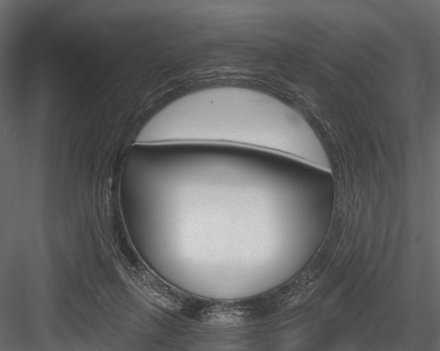 X0000084550263200702230943