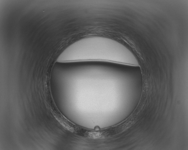 X0000084550265200702230943
