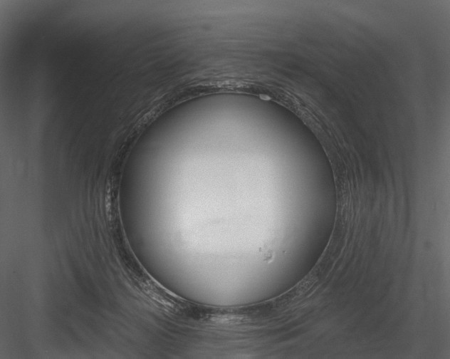 X0000084550268200702230943