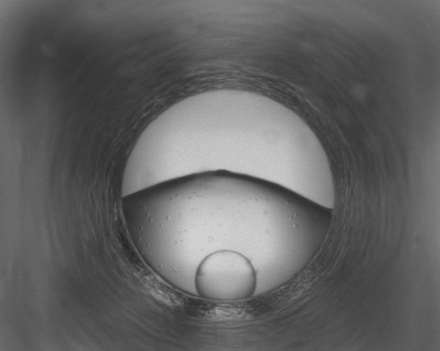 X0000084550270200702230943