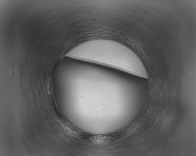 X0000084550273200702230943