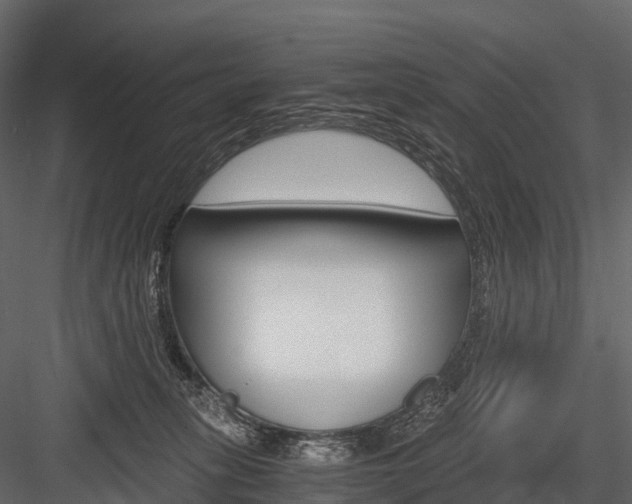 X0000084550275200702230943