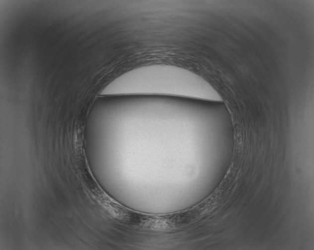 X0000084550276200702230943