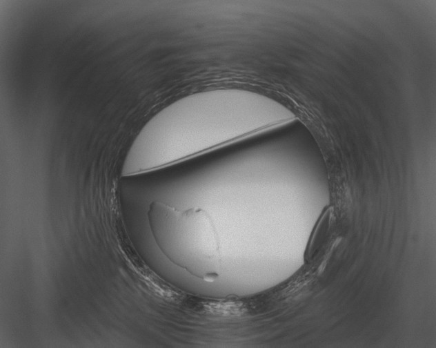 X0000084550281200702230943