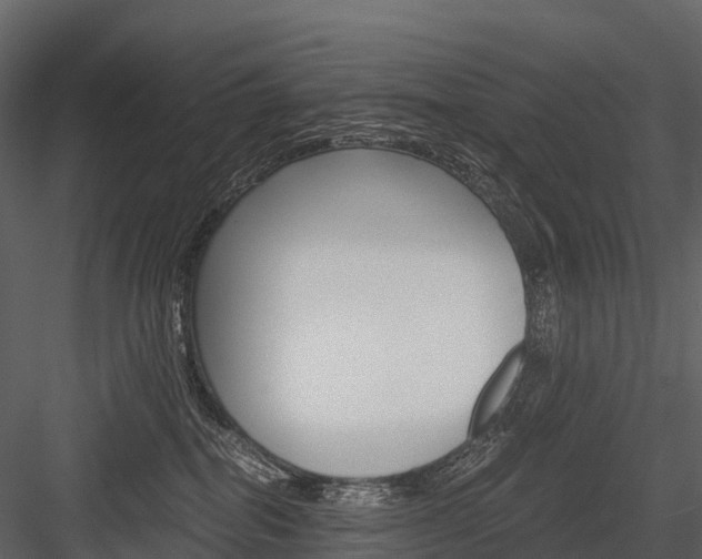 X0000084550282200702230943