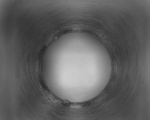 X0000084550283200702230943