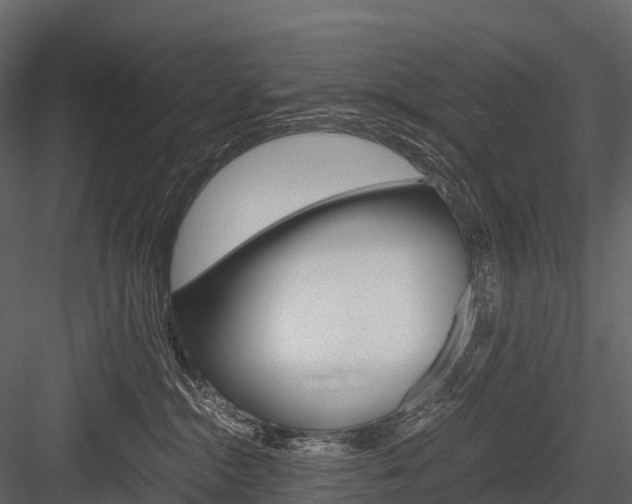 X0000084550284200702230943