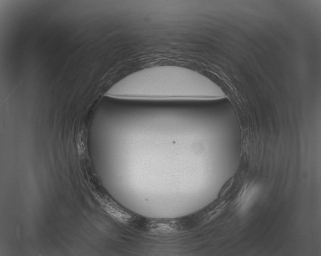 X0000084550285200702230943