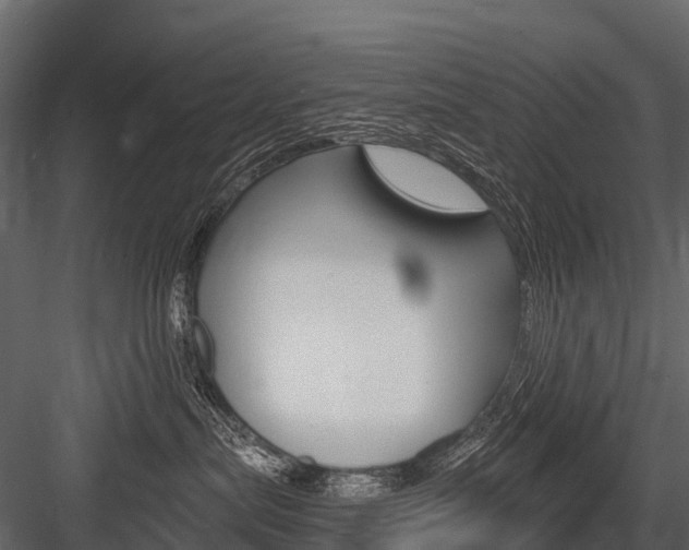 X0000084550287200702230943