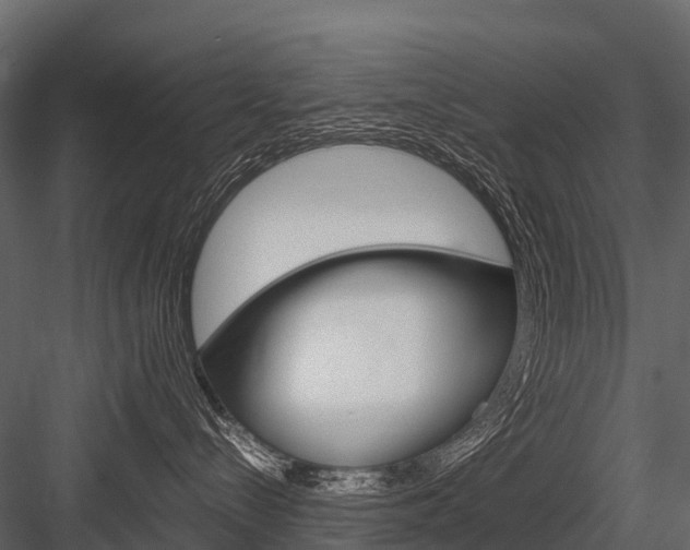 X0000084550288200702230943