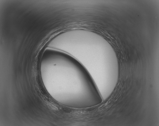 X0000084550291200702230942