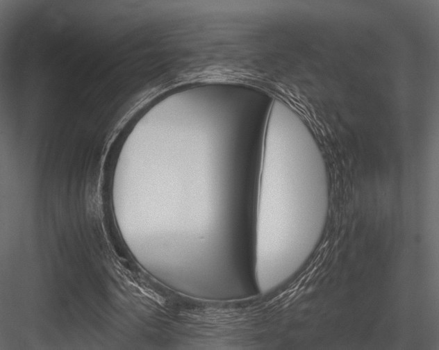 X0000084550292200702230942