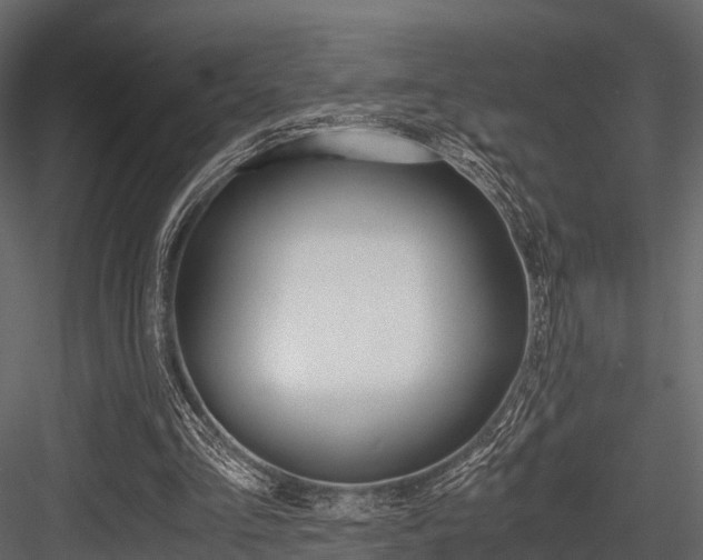 X0000084550293200702230942