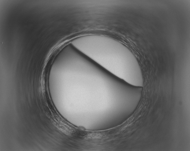 X0000084550294200702230942
