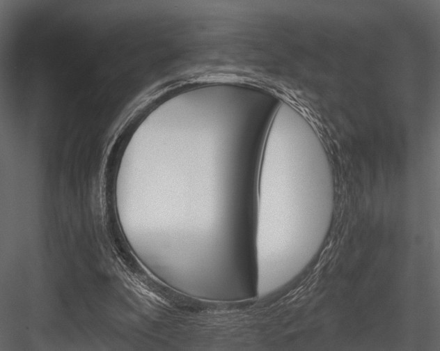 X0000084550296200702230942