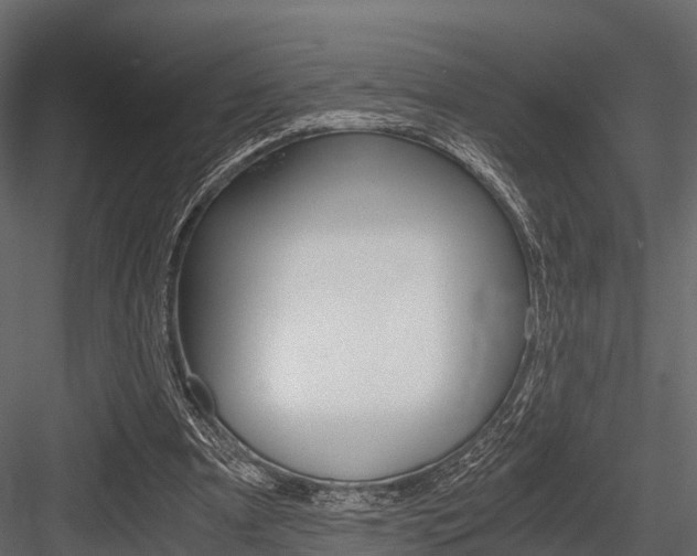 X0000084550297200702230942