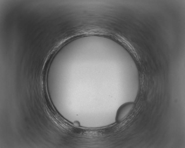 X0000084550298200702230942