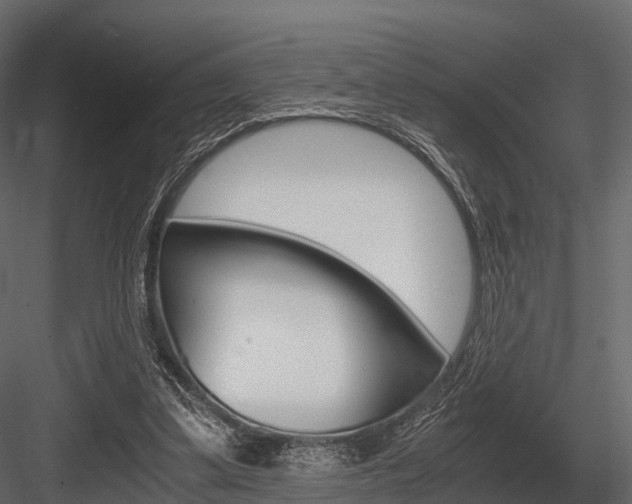 X0000084550299200702230942