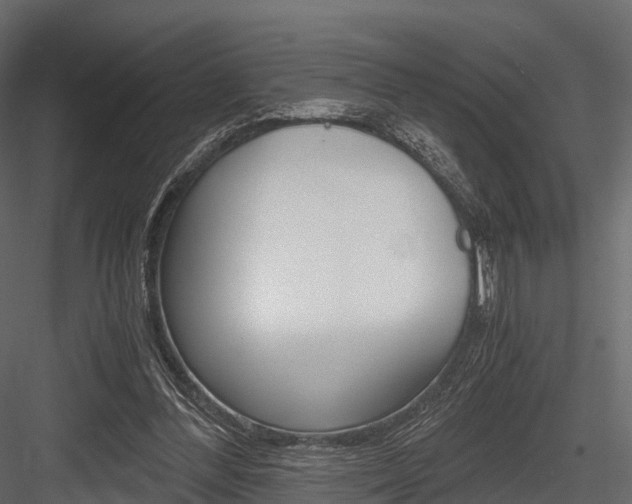 X0000084550300200702230942