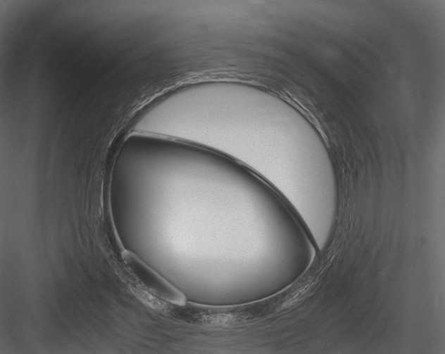 X0000084550301200702230942