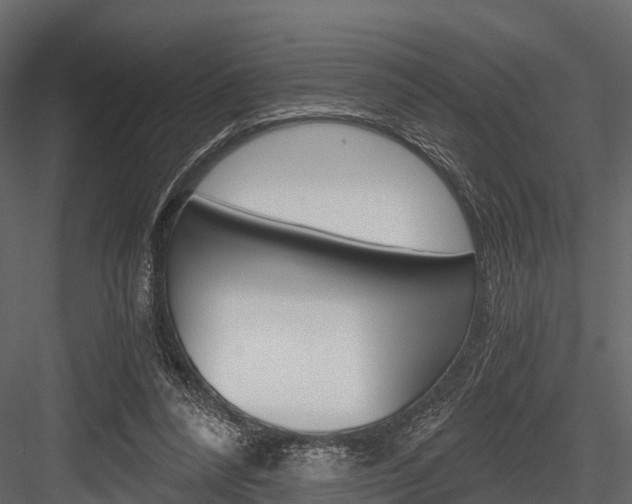 X0000084550304200702230942