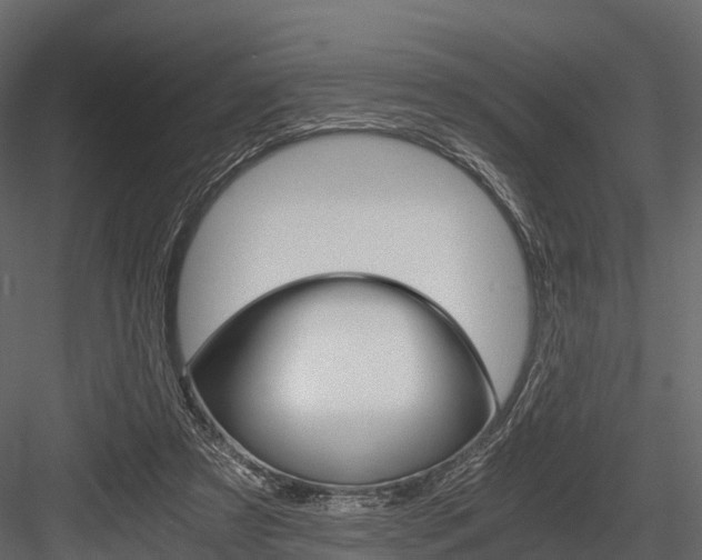 X0000084550305200702230942