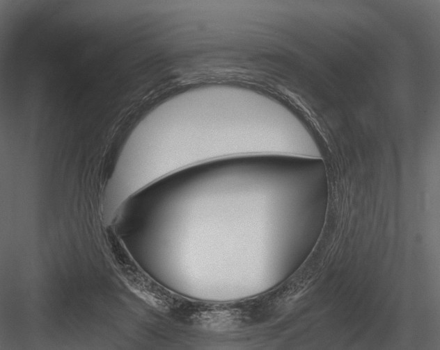 X0000084550307200702230942