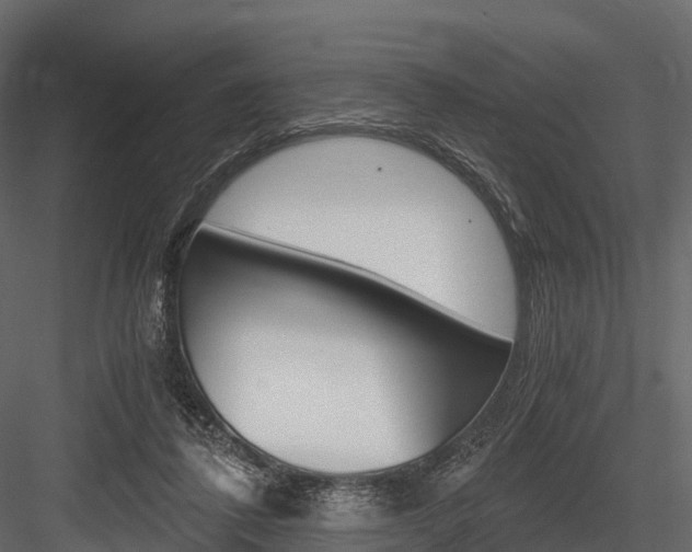 X0000084550308200702230942