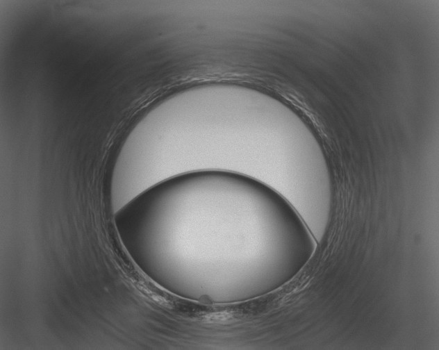 X0000084550309200702230942