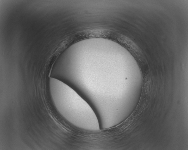 X0000084550310200702230942