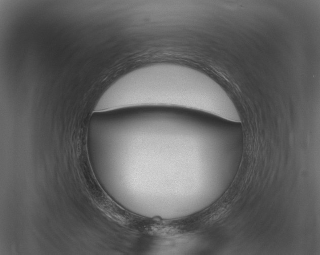 X0000084550311200702230942