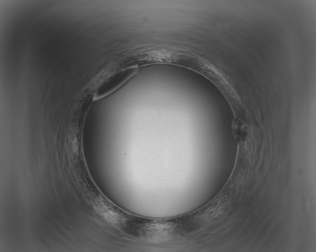 X0000084550313200702230942
