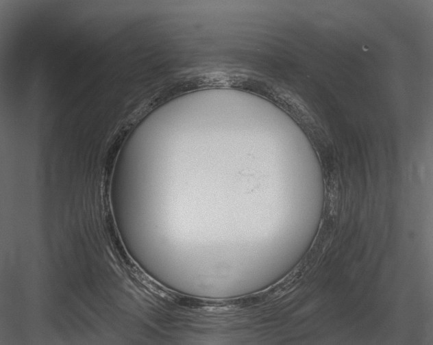 X0000084550314200702230942