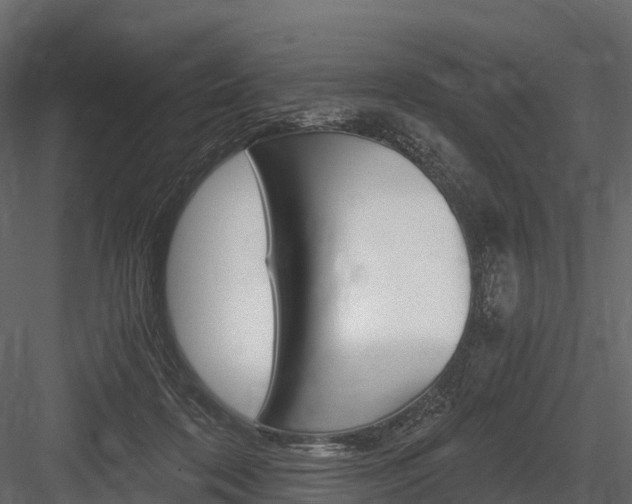 X0000084550316200702230942