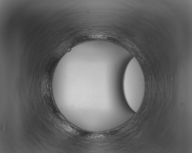 X0000084550322200702230942