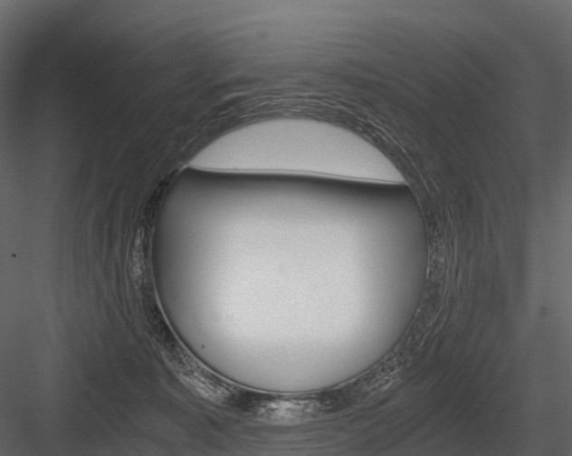 X0000084550323200702230942