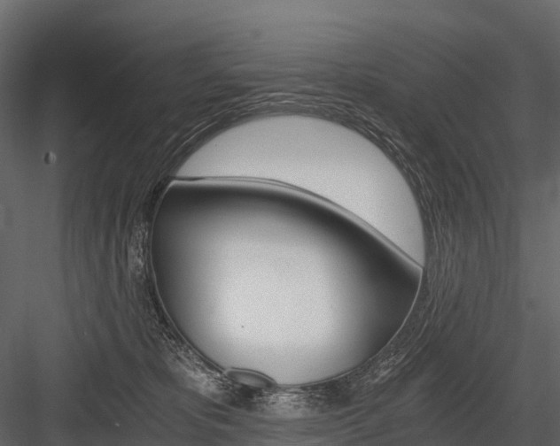 X0000084550325200702230942