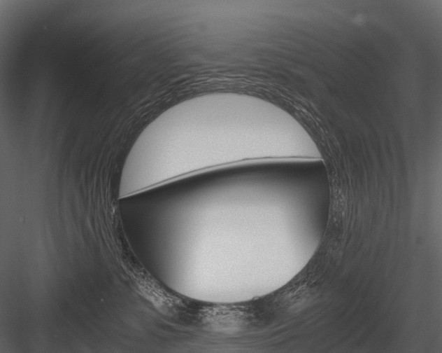 X0000084550331200702230942