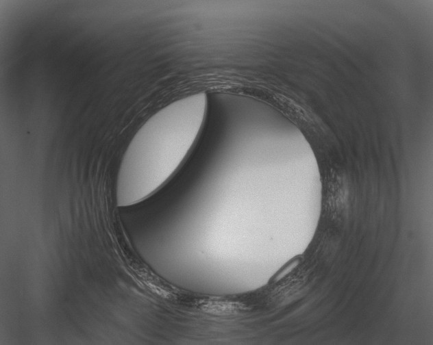 X0000084550332200702230942